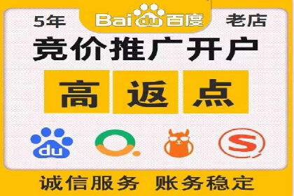 金融行业开户返点策略成功实例